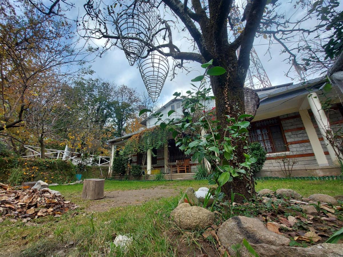 Mars Monkey Hostel & Cafe Манали Экстерьер фото
