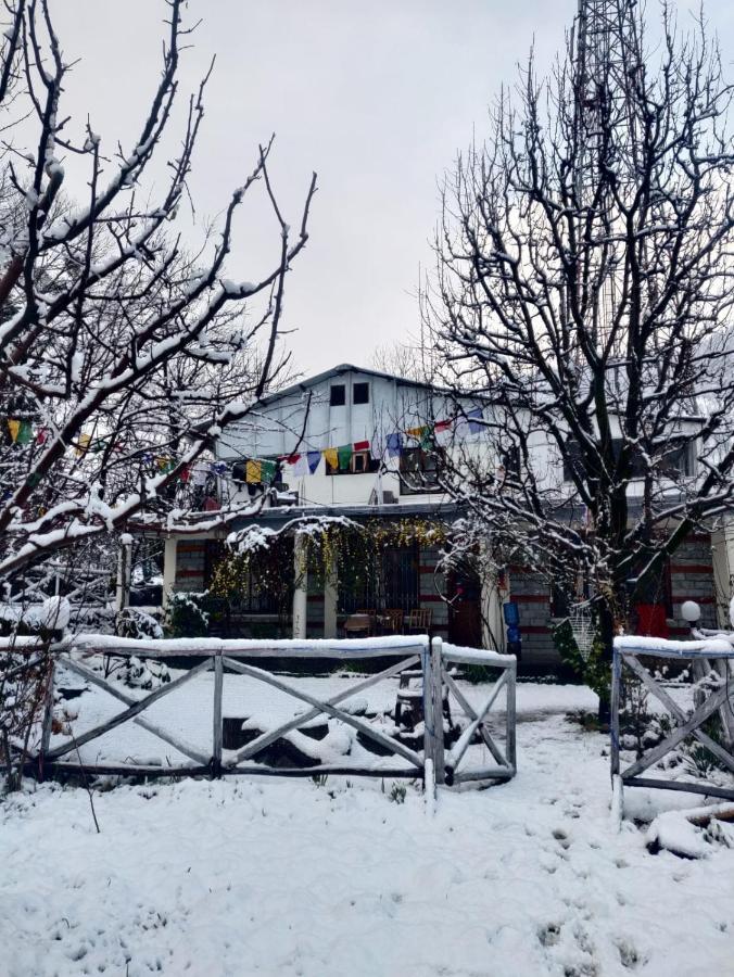Mars Monkey Hostel & Cafe Манали Экстерьер фото