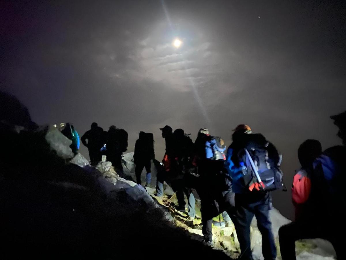 Mars Monkey Hostel & Cafe Манали Экстерьер фото